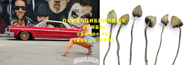 не бодяженный Корсаков