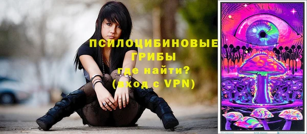 сатива Костерёво