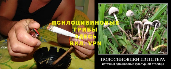 jwh Коряжма